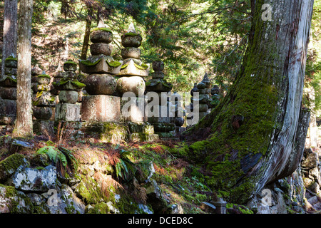 Japan, Berg Koya, Koyasan Friedhof Okunoin, Ishi-Doro Steinen, Stupa, mit großen Baumstamm Stockfoto