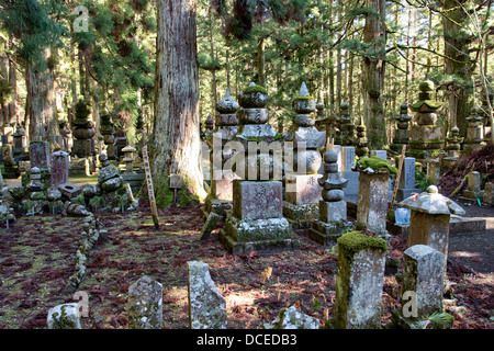 Viele Gorinto, fünf steinerne Pagoden, japanische Grabdenkmäler, auf einer Lichtung im Zedernwald auf dem japanischen Okunoin Friedhof bei Koyasan. Stockfoto