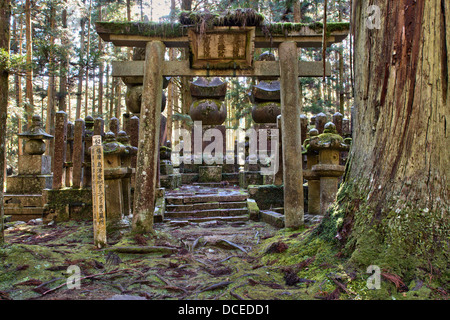 Moos bedecktes steinernes Torii-Tor, das zu drei großen steinernen Pagoden führt, fünf beringten Turm, im Zedernwald am Okunoin Friedhof bei Koya in Japan Stockfoto