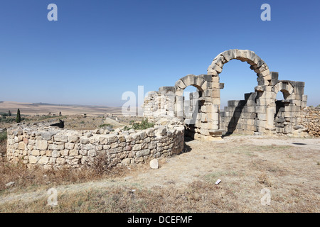 Römische Ruinen Volubilis, Marokko, Nordafrika Stockfoto