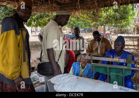 Cashew-Nuss-Käufer mit einem Gewicht von Nüssen, Fass Njaga Choi, Gambia. Stockfoto