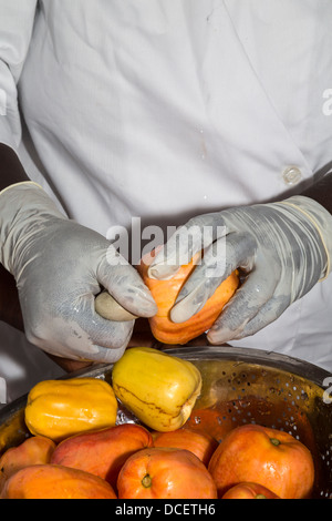 Landarbeiter, Cashew-Nuss aus Cashewapfel vor dem Aufschneiden der Früchte entfernen. Gambia Stockfoto