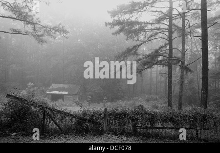 Eine alte Scheune im Nebel am frühen Morgennebel - einfarbig (schwarz und weiß). Stockfoto