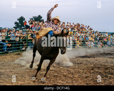 Ein Rodeo-Reiter auf ein unruhiges Wildpferd (Pferd) vor einem Publikum (Publikum) während einer öffentlichen Rodeo-Veranstaltung. Stockfoto