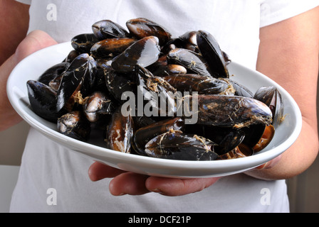 fertig zum Verzehr gekocht und eröffnete organischen Muschel Stockfoto