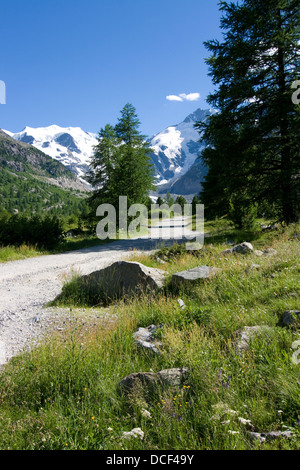 Weg ins Morteratsch-Tal; Gang durch die morteratsch-Tal in Richtung der Berninagruppe Stockfoto