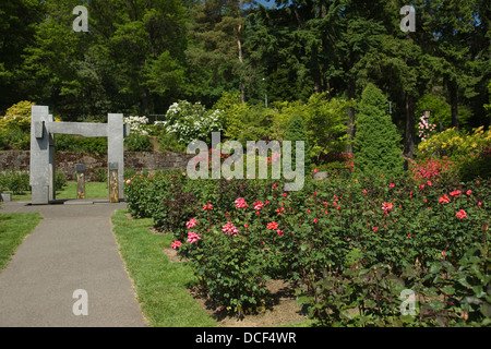 INTERNATIONAL ROSE TEST GARDEN WASHINGTON PARK PORTLAND OREGON USA Stockfoto