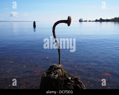 Gebogene Nagel in den alten Haufen auf dem See Stockfoto