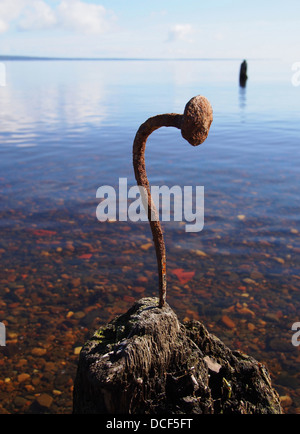 Gebogene Nagel in den alten Haufen auf dem See Stockfoto