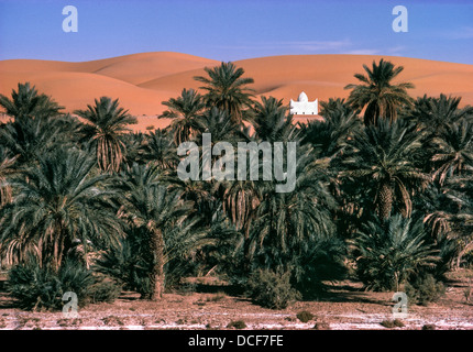 Sanddünen der Grand Erg Occidental, in der Oase des Taghit in Nord-West-Algerien. Stockfoto