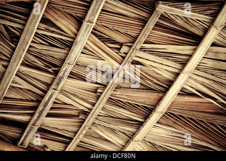 getrocknete Palme Blätter Palapa Dach und strahlt Ansicht von unten Stockfoto