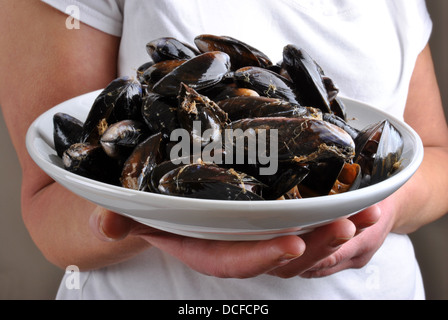 fertig zum Verzehr gekocht und eröffnete organischen Muschel Stockfoto