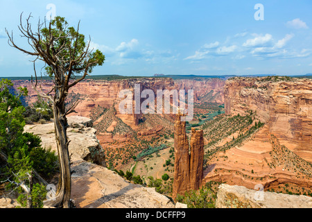 Spider Rock angesehen vom Südrand in Canyon de Chelly National Monument, Chinle, Arizona, USA Stockfoto