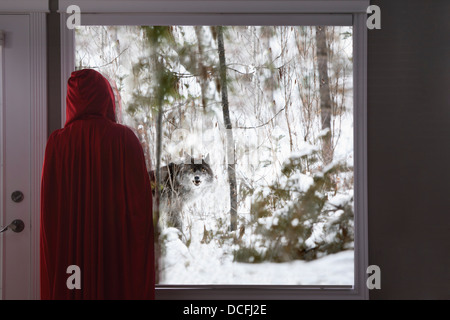 Little Red Riding Hood suchen Fenster bei Big Bad Wolf; Edmonton, Alberta, Kanada Stockfoto