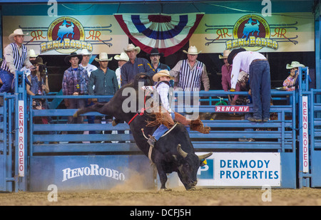 Cowboy-Teilnehmer in einem Bullenreiten Wettbewerb beim Reno Rodeo Stockfoto