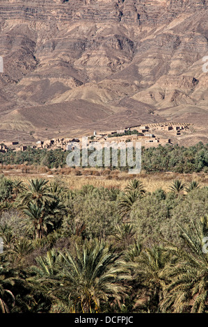 Dorf und Palm Grove. Draa-Tal, Marokko Stockfoto