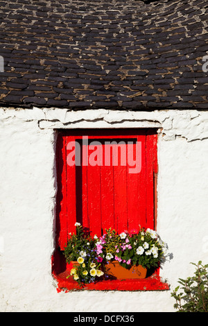 Roten Fensterläden auf Hütte; Ballinskelligs, County Kerry, Irland Stockfoto