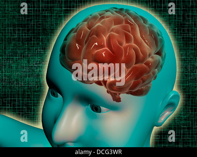 Konzeptbild des weiblichen Körpers mit Gehirn, Seitenansicht. Stockfoto