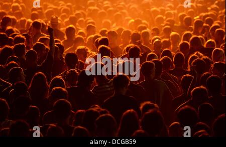 Großpösna, Deutschland. 16. August 2013. Besucher jubeln auf dem Highfield-Festival in Großpösna, Deutschland, 16. August 2013. Das größte Indie-Rockfestival im Osten Deutschlands findet bis 18 August. Foto: HENDRIK SCHMIDT/Dpa/Alamy Live News Stockfoto