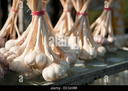 Knoblauch Zwiebeln zum Verkauf am Bauernmarkt in Wadowice, Polen. Stockfoto