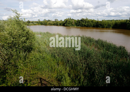 Middleton Hall RSPB Reserve, Midlands, Juli 2013 Stockfoto