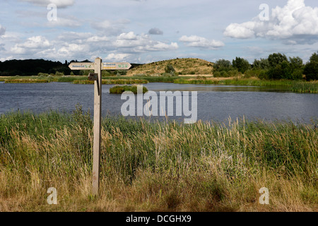 Middleton Hall RSPB Reserve, Midlands, Juli 2013 Stockfoto