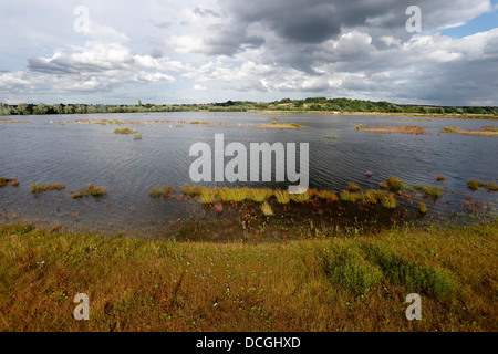 Middleton Hall RSPB Reserve, Midlands, Juli 2013 Stockfoto