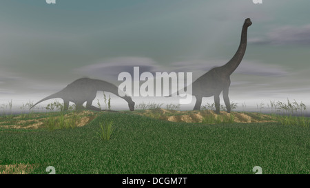 Zwei Brachiosaurus Dinosaurier Weiden im Nebel. Stockfoto