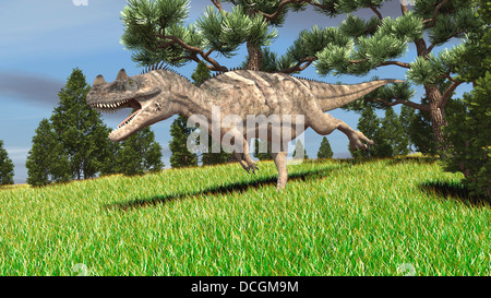 Ceratosaurus Jagd für seine nächste Mahlzeit. Stockfoto