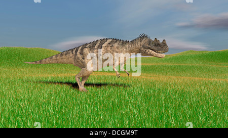 Ceratosaurus Jagd im prähistorischen Grasland. Stockfoto