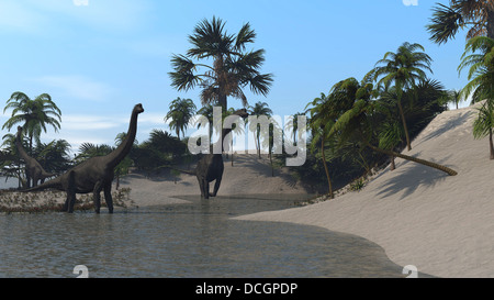 Drei Brachiosaurus Dinosaurier Weiden. Stockfoto