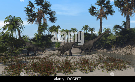 Drei Brachiosaurus Dinosaurier Beweidung auf die Vegetation. Stockfoto