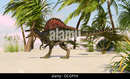 Spinosaurus Jagd nach Nahrung. Stockfoto