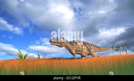 Ceratosaurus Jagd im prähistorischen Grasland. Stockfoto