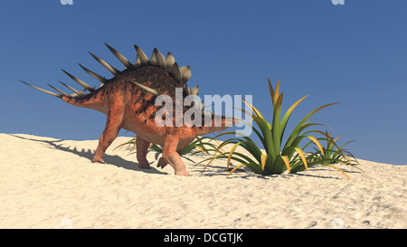 Kentrosaurus zu Fuß auf einer kargen Landschaft. Stockfoto