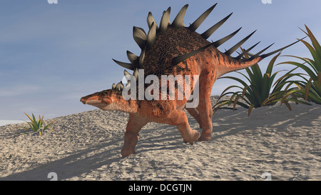 Kentrosaurus zu Fuß auf einer kargen Landschaft. Stockfoto