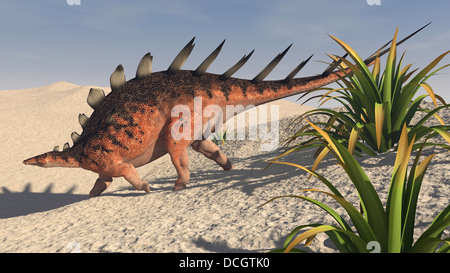 Kentrosaurus zu Fuß auf einer kargen Landschaft. Stockfoto