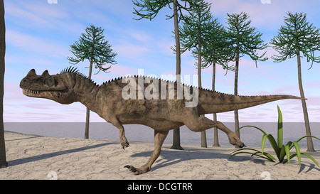 Ceratosaurus Jagd für seine nächste Mahlzeit. Stockfoto