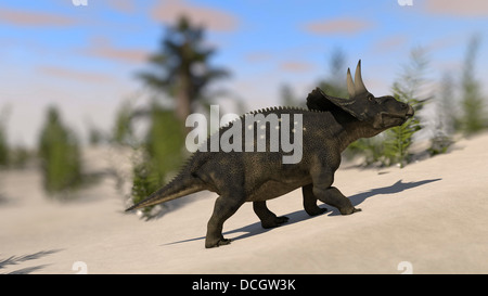 Triceratops roaming einer prähistorischen Landschaft. Stockfoto