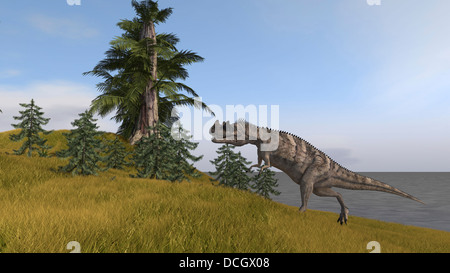 Ceratosaurus bergauf laufen. Stockfoto