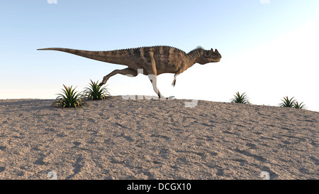 Ceratosaurus quer durch eine karge Landschaft. Stockfoto