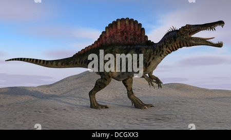 Spinosaurus auf kargen Gelände. Stockfoto