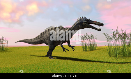 Suchomimus zu Fuß über eine Wiese. Stockfoto