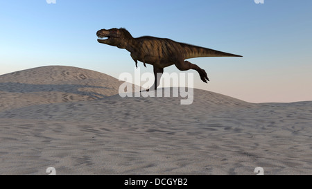 Tyrannosaurus Rex quer durch eine Wüstenlandschaft. Stockfoto