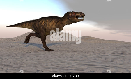 Tyrannosaurus Rex quer durch eine Wüstenlandschaft. Stockfoto