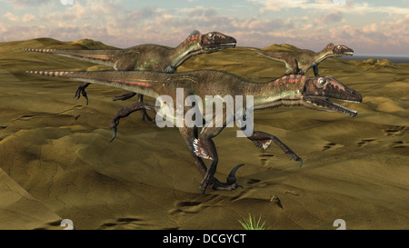 Drei Utahraptor quer durch eine Wüstenlandschaft. Stockfoto