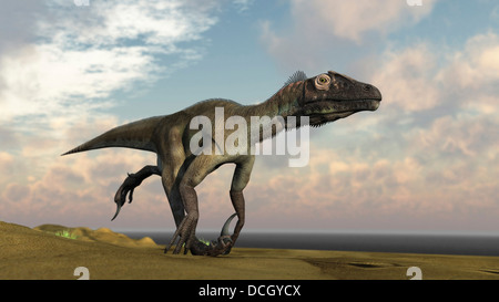 Utahraptor quer durch eine unfruchtbare Wüste. Stockfoto