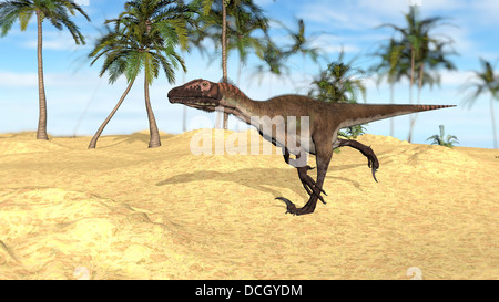 Utahraptor quer durch eine karge Landschaft. Stockfoto