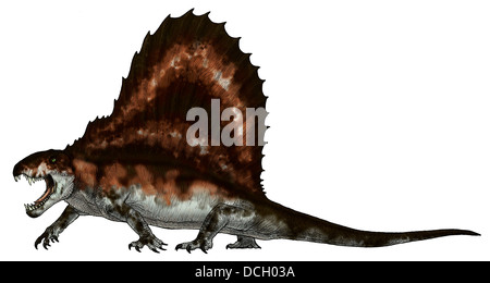 Dimetrodon, eine Synapside, die eine Spitze Pradator war. Stockfoto