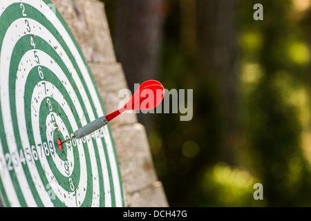Roter Pfeil Treffer ins Schwarze des Dartboards Stockfoto
